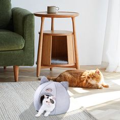 two cats laying on the floor in front of a cat bed and a green chair