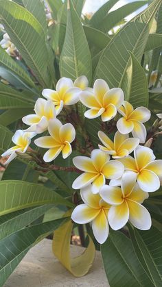 a vase filled with yellow and white flowers on top of a wooden table next to green leaves