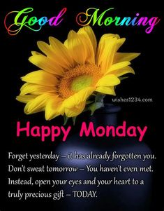 a yellow flower in a black vase with the words good morning happy monday on it