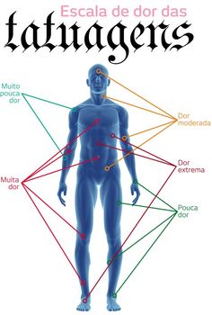 an image of the body with labels for all parts of it in spanish and english