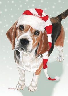 a brown and white dog wearing a red and white santa hat on top of it's head