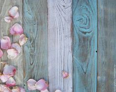 some pink flowers are on the side of a wooden wall with blue boards in the background