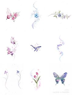 an assortment of flowers and butterflies on a white background