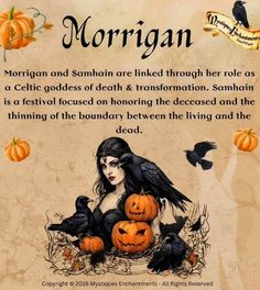 Fairies Mythology, Celtic Deities, Spooky Christmas, Witchcraft Spells, Wiccan Magic, Celtic Goddess