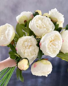 a bouquet of white peonies and greenery is held by someone's hand