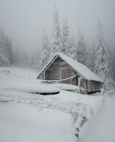 an old log cabin in the snow surrounded by pine trees and foggy skies on a cloudy day