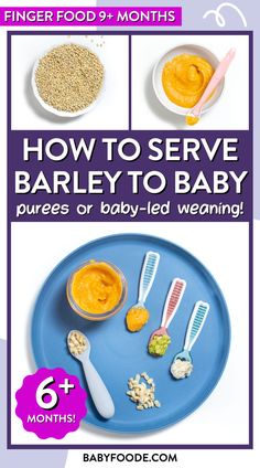 a blue plate with baby spoons with chunky purees on each Baby 6 Months, 6 Month Baby Food, Barley Grain, Best Vitamin C, Barley Flour, Healthy Grains, Cooked Carrots