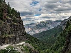 a scenic view of mountains and trees from the top of a mountain