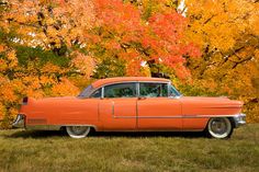 an orange classic car parked in front of trees with autumn leaves on the branches and grass