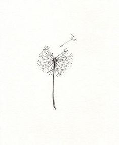 a drawing of a dandelion in black and white