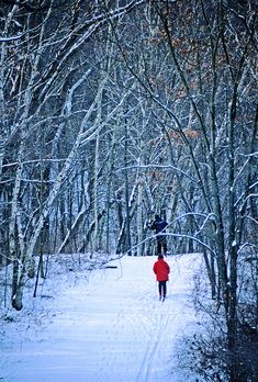 a person walking down a snow covered path in the woods