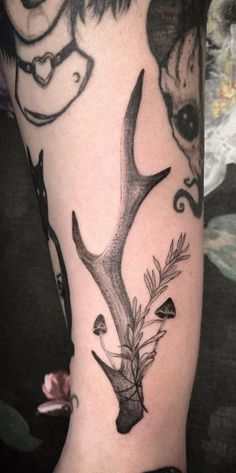 a black and white photo of a deer's head with antlers on it