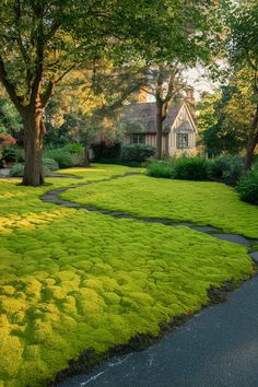 Follow the link for more inspiring moss lawn ideas to transform your yard! 🌱 Create a lush moss lawn front yard with stepping stones for a stunning, low-maintenance alternative to grass. Moss lawns thrive in shaded areas, offering a beautiful and eco-friendly ground cover that doesn’t need mowing. Perfect for unique landscaping! ✨🌿