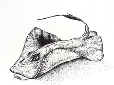 a black and white drawing of a mouse's head with its tail curled up