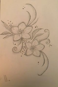 a pencil drawing of flowers on paper