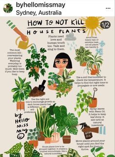 a poster showing how to not kill houseplants and what they can do with them