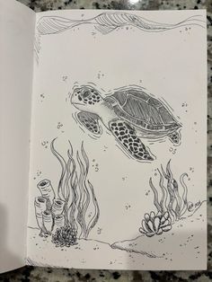 an open book with a drawing of a sea turtle and corals on the cover