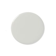 a white round object is shown against a white background with only one light colored substance visible