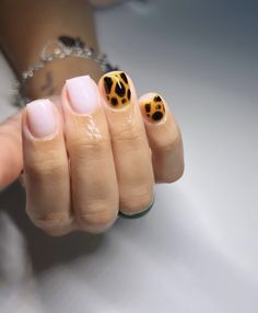 Short Nail Designs Leopard Print, Cute Short Acrylic Nails Leopard, Short Square Cheetah Nails, Summer Cheetah Nails Short, Short Nail Cheetah Designs, Natural Nails Manicure, Hard Nails, Ombre Acrylic Nails, Work Nails