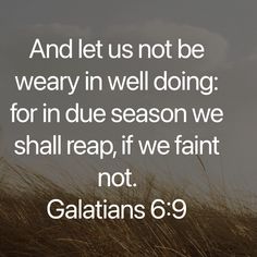 the words galaians 6 9 and let us not be weary in well doing for in due season we shall reap if we faint not not