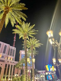 palm trees in front of the las vegas hotel and casino at night with street lights