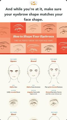 Best Eyebrow Makeup, How To Draw Eyebrows, Eyebrow Makeup Tips, Makeup 101, How To Color Eyebrows, Best Eyebrow Products, Eyebrow Shape, Shape Matching, Perfect Brows