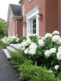 white flowers line the side of a brick house