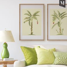 two framed pictures hang on the wall above a white couch with green pillows and throw pillows