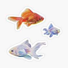 three goldfish stickers on a white background