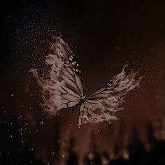 a butterfly flying through the air with fire around it