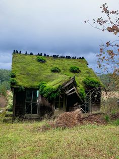 an old house with a green roof covered in grass and plants on the top of it