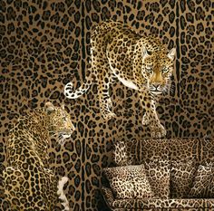 two leopards are standing in front of an animal wallpaper