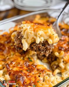 a spoon full of macaroni and cheese being lifted from a casserole dish