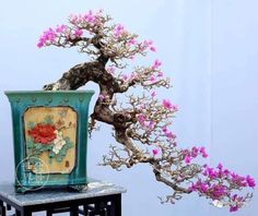 a bonsai tree with pink flowers in a blue vase on a table next to it