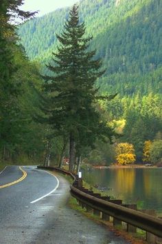 an empty road next to a body of water with trees on both sides and mountains in the background