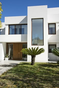 a white house with large windows and palm trees