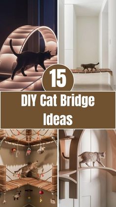 Give your cat the ultimate playground with these 15 DIY cat bridges! These creative and easy-to-build designs will keep your kitty entertained and provide a stylish addition to your home. Perfect for cat lovers looking to spoil their furry friends, these projects are both functional and fun. Click to see how you can make your own cat bridge today! Cat Diy Crafts, Kat Diy, High Shelf, Niche Chat, Cat Patio, Cat Wall Shelves