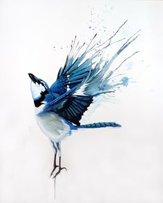 a blue and white bird with its wings spread out in the air, on a white background