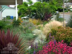 the garden is full of colorful flowers and plants