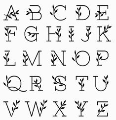 the alphabet is made up of leaves and letters