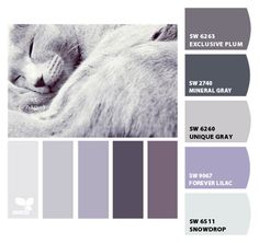 there is a color scheme with different colors in the same image and it has a cat sleeping on top