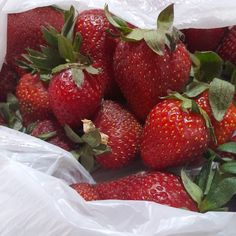 a bunch of strawberries in a white bag