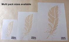 three pieces of paper with different types of feathers on them and the words ideal stencils