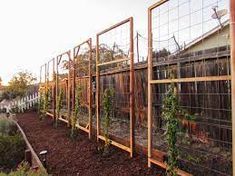 an outdoor garden with lots of plants growing on the fence and in front of it