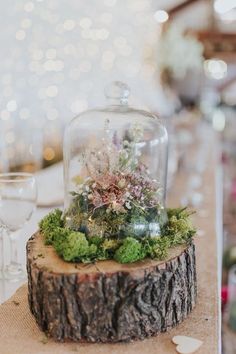 a glass clochet with moss and flowers under it sitting on a tree stump