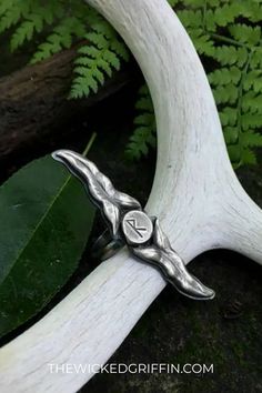 a close up of a silver ring on top of a white antler's head