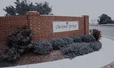 the sign for chestnut springs is shown in front of a brick wall and shrubbery