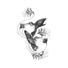 two birds flying next to each other on top of a white background with swirls