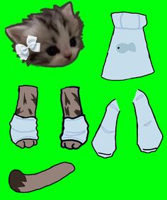 an image of a cat's foot, leg and dress up clothes on green background