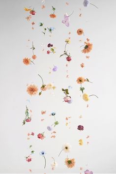 an arrangement of flowers floating in the air